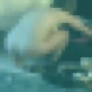 Profil de Nabila à Le Sourn (44 ans) - beurette anonyme