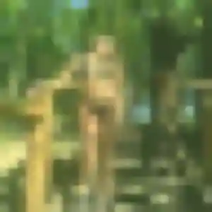 beurette à Le Teil : photo de Dounia, 41 ans - sans engagement