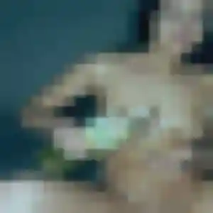 Rym (38 ans) à Le Touvet attend un beurette ce soir
