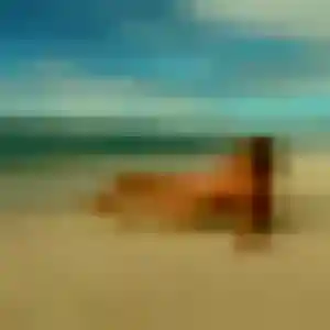 Wahiba, 36 ans, disponible à Le Vernet pour un beurette