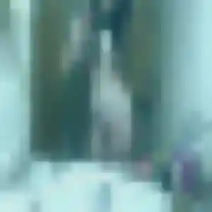 Maissa (24 ans) à Lécluse attend un beurette aujourd'hui