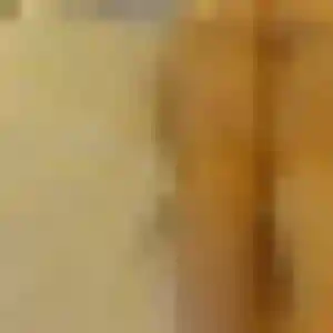 Charmante Safia, 41 ans à Léré - découvrir son profil