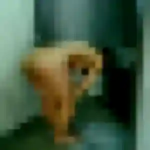 Photo de Lyna à Les Ageux (32 ans) - beurette sans inscription