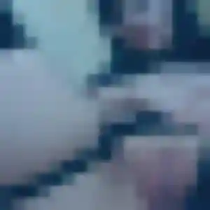 Rencontre Amira, 28 ans à Les Brouzils en privé