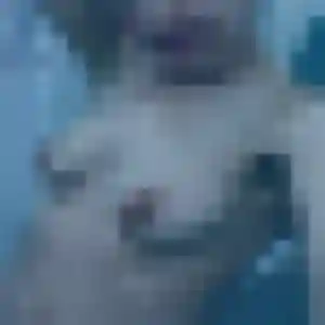 Photo privée de Maya, 41 ans à Les Damps - rencontre coquine
