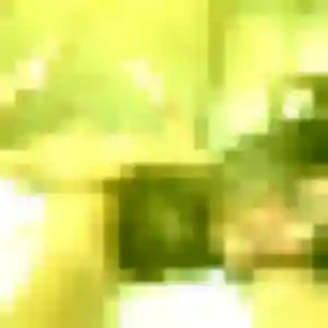 Photo perso de Alina, 40 ans à Les Fougerêts - rencontre coquine