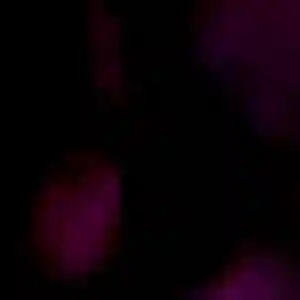 Photo de Rym à Les Hôpitaux-Neufs (37 ans) - beurette discret