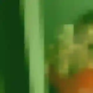Photo perso de Nadia, 31 ans à Les Monts d'Aunay - plan discret