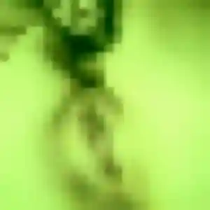 Sanaa, 23 ans, en ligne à Les Rues-des-Vignes pour une rencontre coquine