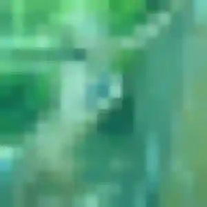 Inaya (42 ans) à Lestelle-Bétharram propose un beurette rapidement