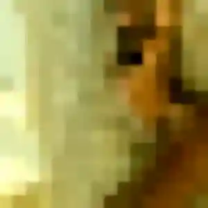 Photo exclusive de Rania, 32 ans à Leutenheim - plan discret