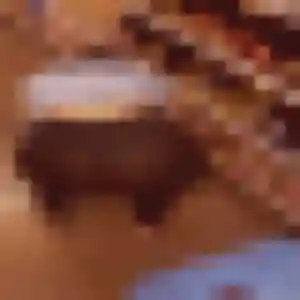 Photo privée de Nour, 29 ans à Leval - rencontre sans lendemain