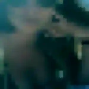beurette à Lézinnes : photo de Nissa, 33 ans - sans engagement