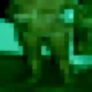Amel, 34 ans, en ligne à Lièpvre pour une rencontre coquine