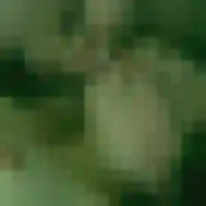 Contacte Fatima, 38 ans à Ligugé gratuitement