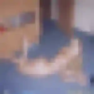 Rejoins Alya, 42 ans à Lisle en privé