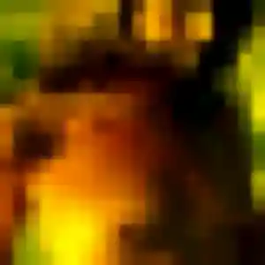 Safia, femme de 24 ans cherche beurette à Lit-et-Mixe