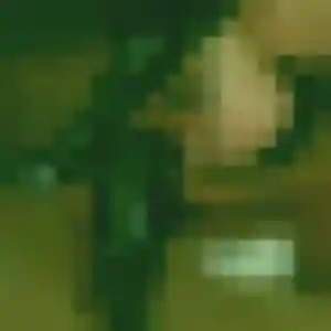 Profil de Safiya à Livry-Gargan (44 ans) - beurette gratuit