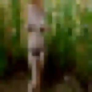 Photo sexy de Nadia, 34 ans à Longèves - rencontre sans lendemain