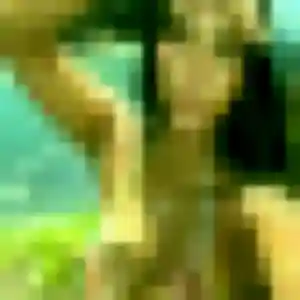 Profil de Samira à Longnes (33 ans) - beurette anonyme