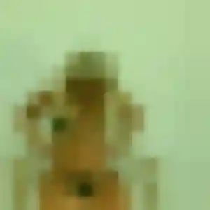Zahra, 29 ans, disponible à Lorgues pour un beurette