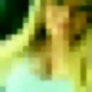Dounia, fille de 24 ans cherche beurette à Lormes
