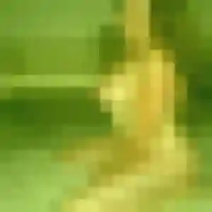 Profil de Linda à Louviers (45 ans) - beurette anonyme