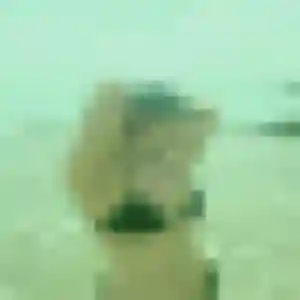 Sanaa, 29 ans, dispo pour beurette à Louzy