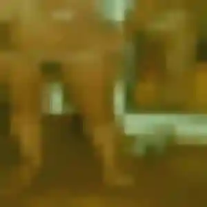 Kenza, 35 ans, connectée à Lubersac pour une rencontre coquine
