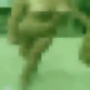 Sabrina, 28 ans, disponible à Luzancy pour un beurette
