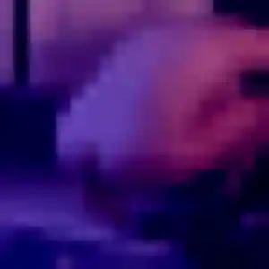 Photo de Rym à Luzillat (32 ans) - beurette gratuit