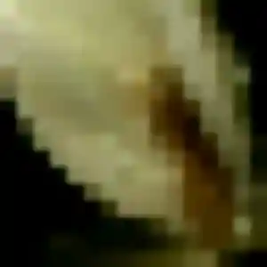 Profil de Imane à Maisdon-sur-Sèvre (42 ans) - beurette discret
