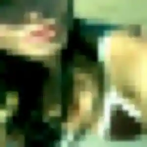 Sirine (41 ans) à Malaunay cherche une rencontre rapidement