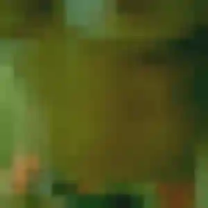 Photo perso de Sonia, 37 ans à Malintrat - plan discret