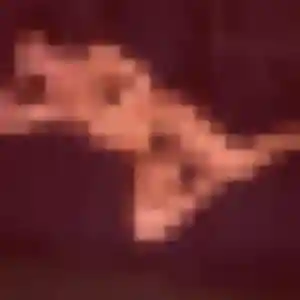 Photo de Lila à Mamoudzou (32 ans) - beurette gratuit