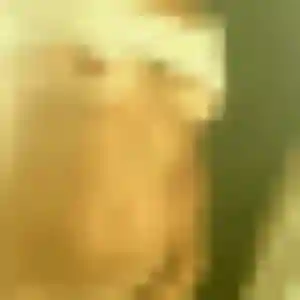 Nadia (35 ans) à Mandres-les-Roses attend un beurette ce soir