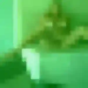 Découvre Alina, 37 ans à Manziat en t'inscrivant