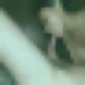 Zara, 31 ans, en ligne à Marcelcave pour un beurette