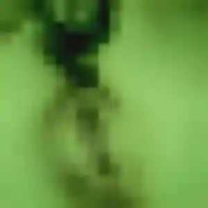 Rym, 28 ans, dispo pour beurette à Mareuil-le-Port