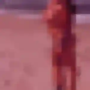 Chaima, 35 ans, cherche un beurette à Marigny-les-Usages