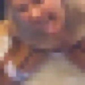 beurette à Marpent : photo de Dounia, 35 ans - accès libre