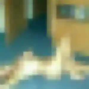 Samira (39 ans) à Marseillan cherche un beurette rapidement
