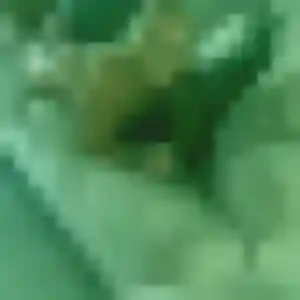 Nour, femme de 23 ans veut beurette à Martiel