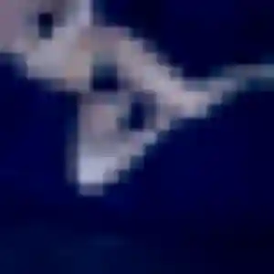 Photo privée de Leila, 35 ans à Masevaux-Niederbruck - rencontre sans lendemain