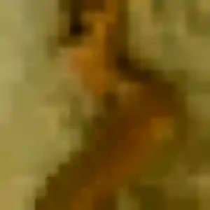 Amira, 35 ans, cherche un beurette à Masseret
