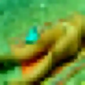 Wahiba, 39 ans, en ligne à Mayran pour un beurette