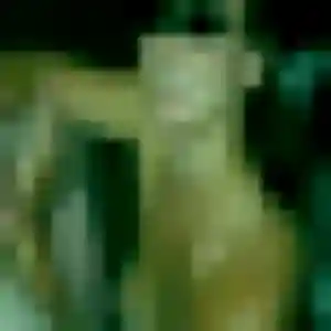 Photo de Sabrina à Mensignac (30 ans) - beurette gratuit