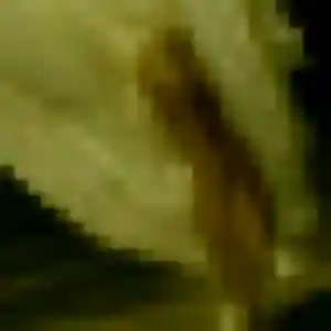 Découvre Latifa, 32 ans à Menthonnex-sous-Clermont en privé