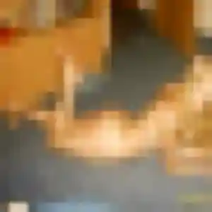 Photo privée de Maya, 23 ans à Menville - rencontre sans lendemain
