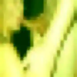 Syrine, fille de 45 ans cherche beurette à Meucon